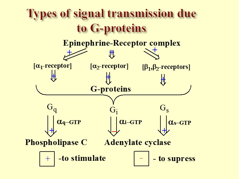 Types of signal transmission due to G-proteins